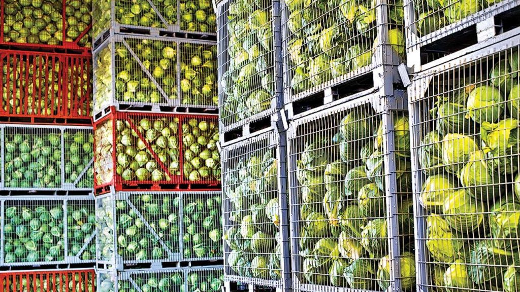 Cold storage